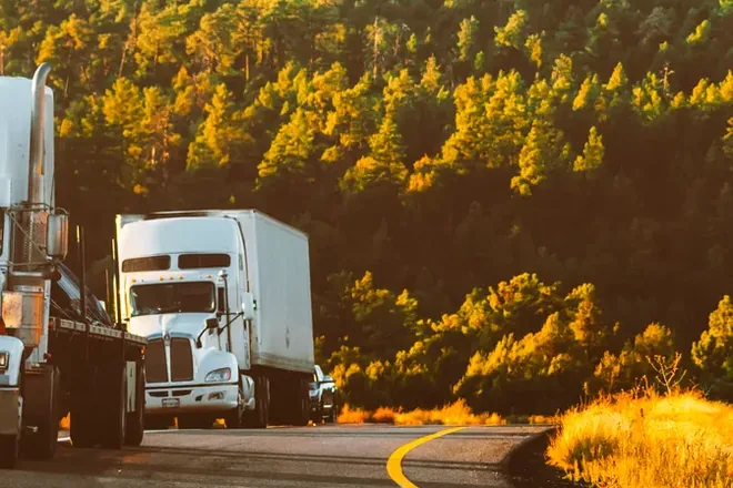 Poids lourds d’un transporteur roulant en convoi sur une route bordée de forêt